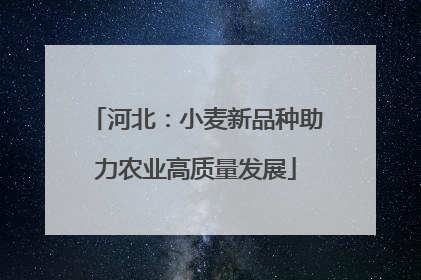 河北：小麦新品种助力农业高质量发展