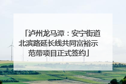 泸州龙马潭：安宁街道北滨路延长线共同富裕示范带项目正式签约