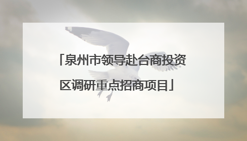 泉州市领导赴台商投资区调研重点招商项目
