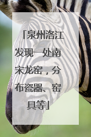 泉州洛江发现一处南宋龙窑，分布瓷器、窑具等