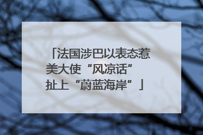 法国涉巴以表态惹美大使“风凉话” 扯上“蔚蓝海岸”