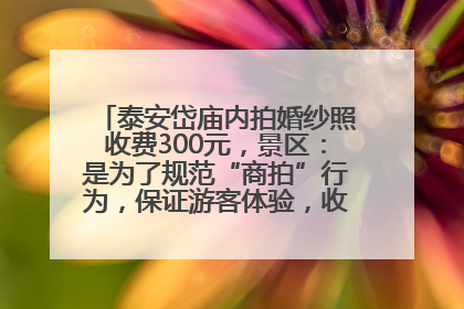 泰安岱庙内拍婚纱照收费300元，景区：是为了规范“商拍”行为，保证游客体验，收取费用全部上交国库