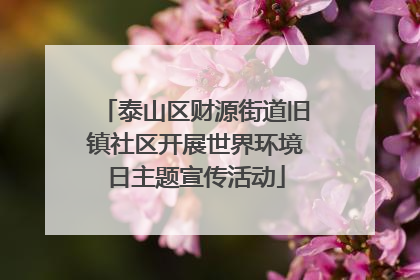 泰山区财源街道旧镇社区开展世界环境日主题宣传活动