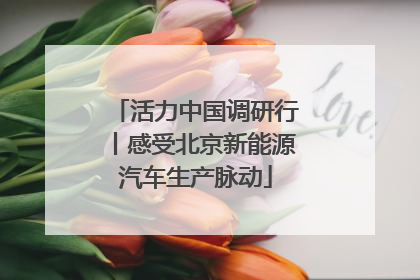 活力中国调研行丨感受北京新能源汽车生产脉动