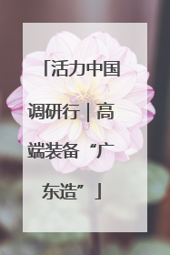 活力中国调研行｜高端装备“广东造”
