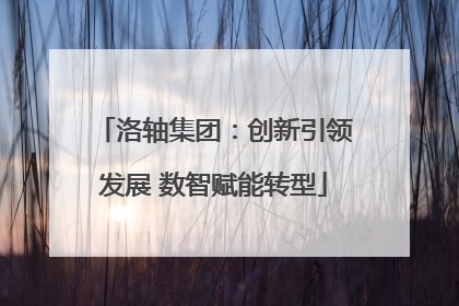 洛轴集团：创新引领发展 数智赋能转型