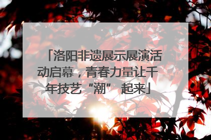 洛阳非遗展示展演活动启幕，青春力量让千年技艺“潮” 起来