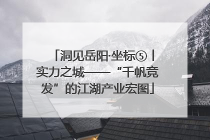 洞见岳阳·坐标⑤丨实力之城——“千帆竞发”的江湖产业宏图