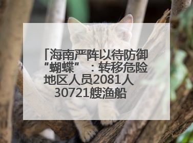 海南严阵以待防御“蝴蝶”：转移危险地区人员2081人 30721艘渔船全部进港避风