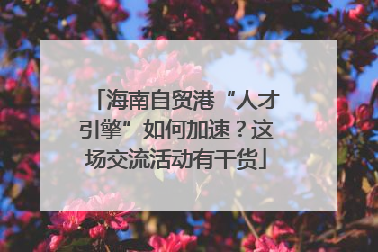 海南自贸港“人才引擎”如何加速？这场交流活动有干货