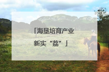 海垦培育产业新实“荔”