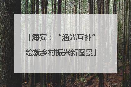 海安：“渔光互补” 绘就乡村振兴新图景