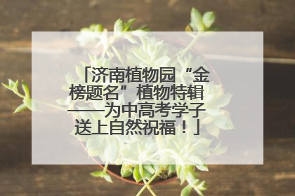 济南植物园“金榜题名”植物特辑——为中高考学子送上自然祝福！