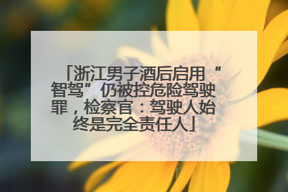 浙江男子酒后启用“智驾”仍被控危险驾驶罪，检察官：驾驶人始终是完全责任人