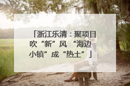 浙江乐清：聚项目吹“新”风 “海边小镇”成“热土”