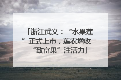 浙江武义：“水果莲”正式上市，莲农增收“致富果”注活力