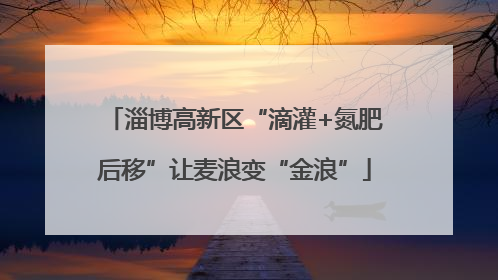 淄博高新区“滴灌+氮肥后移”让麦浪变“金浪”