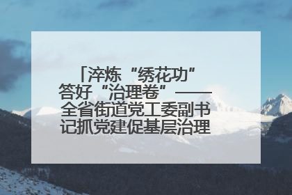 淬炼“绣花功” 答好“治理卷”——全省街道党工委副书记抓党建促基层治理培训示范班侧记