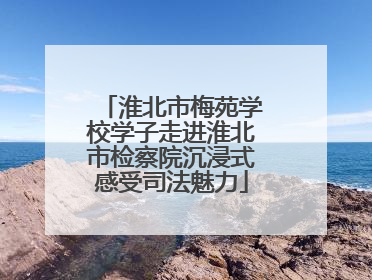 淮北市梅苑学校学子走进淮北市检察院沉浸式感受司法魅力