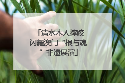 清水木人摔跤 闪耀澳门“根与魂”非遗展演