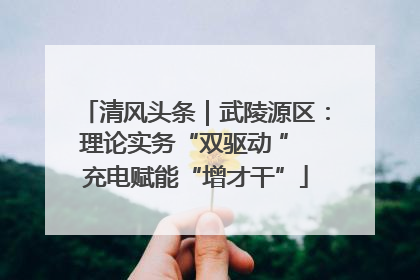 清风头条｜武陵源区：理论实务“双驱动 ” 充电赋能“增才干”