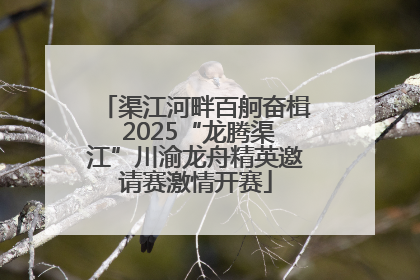 渠江河畔百舸奋楫 2025“龙腾渠江”川渝龙舟精英邀请赛激情开赛