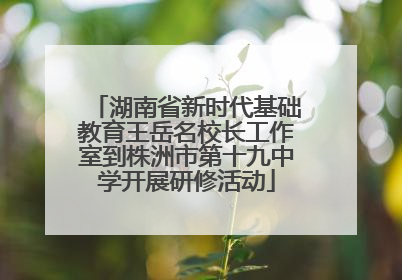 湖南省新时代基础教育王岳名校长工作室到株洲市第十九中学开展研修活动