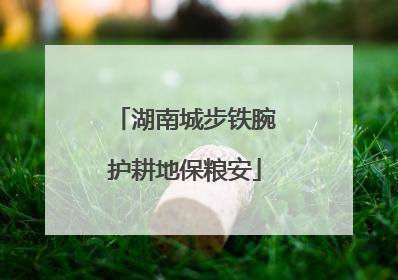 湖南城步铁腕护耕地保粮安