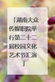 湖南大众传媒职院举行第二十二届校园文化艺术节汇演