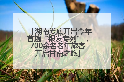 湖南娄底开出今年首趟“银发专列”，700余名老年旅客开启甘南之旅