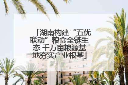 湖南构建“五优联动”粮食全链生态 千万亩粮源基地夯实产业根基
