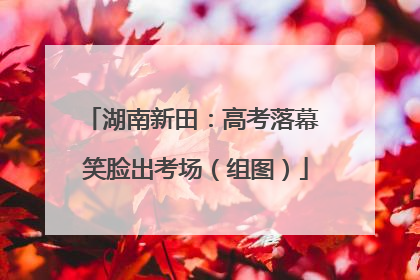 湖南新田：高考落幕 笑脸出考场（组图）