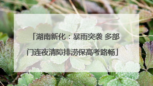 湖南新化：暴雨突袭 多部门连夜清障排涝保高考路畅