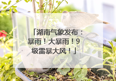 湖南气象发布：暴雨！大暴雨！9级雷暴大风！
