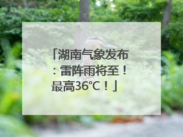 湖南气象发布：雷阵雨将至！最高36℃！