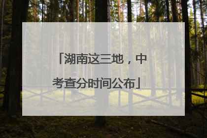 湖南这三地，中考查分时间公布