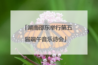 湖南邵东举行第五届端午音乐诗会