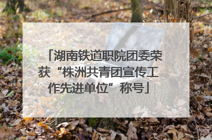 湖南铁道职院团委荣获“株洲共青团宣传工作先进单位”称号