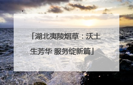 湖北夷陵烟草：沃土生芳华 服务绽新篇