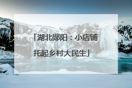 湖北郧阳：小店铺托起乡村大民生