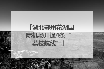 湖北鄂州花湖国际机场开通4条“荔枝航线”