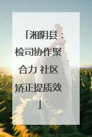 湘阴县：检司协作聚合力 社区矫正提质效