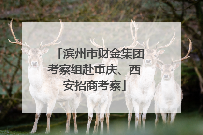 滨州市财金集团考察组赴重庆、西安招商考察