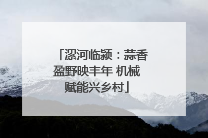 漯河临颍：蒜香盈野映丰年 机械赋能兴乡村