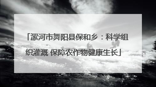 漯河市舞阳县保和乡：科学组织灌溉 保障农作物健康生长