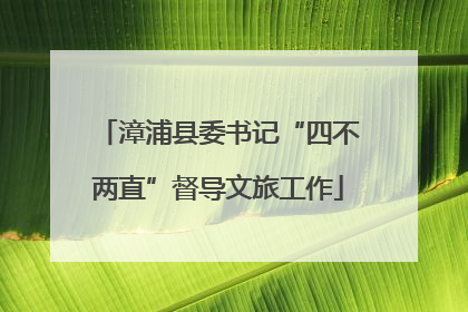 漳浦县委书记“四不两直”督导文旅工作