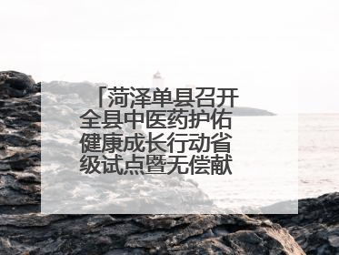 菏泽单县召开全县中医药护佑健康成长行动省级试点暨无偿献血工作会议