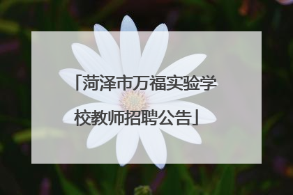 菏泽市万福实验学校教师招聘公告
