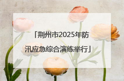 荆州市2025年防汛应急综合演练举行