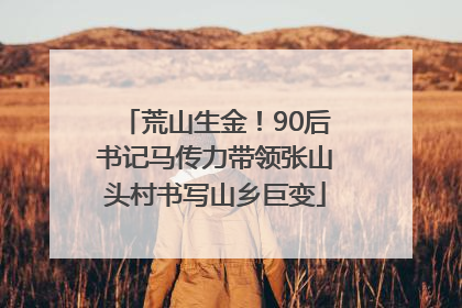 荒山生金！90后书记马传力带领张山头村书写山乡巨变